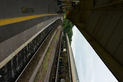 DSC_2528 (Large).JPG